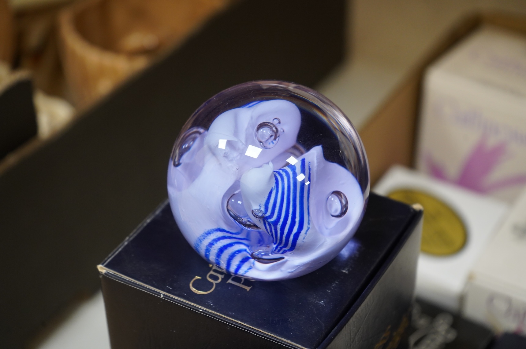 A collection of Caithness glass paperweights